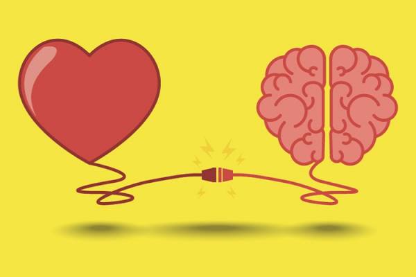 Conexão entre coração e cerebro 