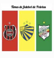 Times de futebol de Pelotas