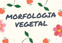 Morfologia Vegetal