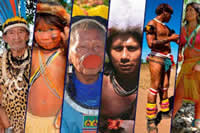 Indígenas Brasileiros