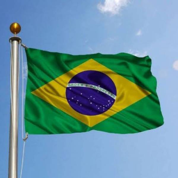 Quebra cabeça bandeira do Brasil 