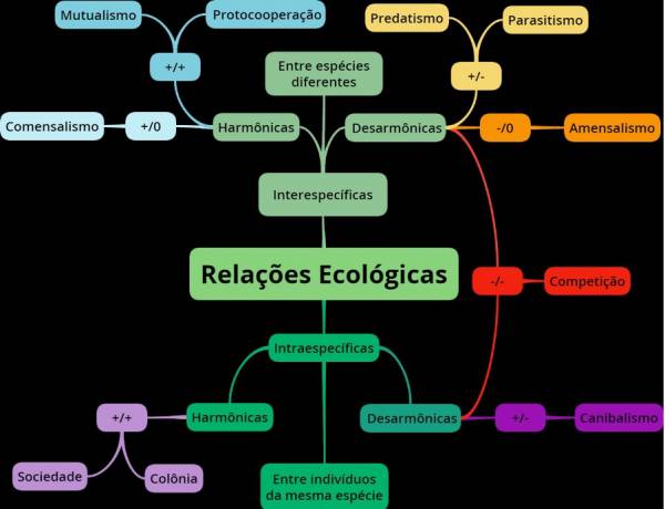 Relações Ecológicas   - site efuturo.com.br