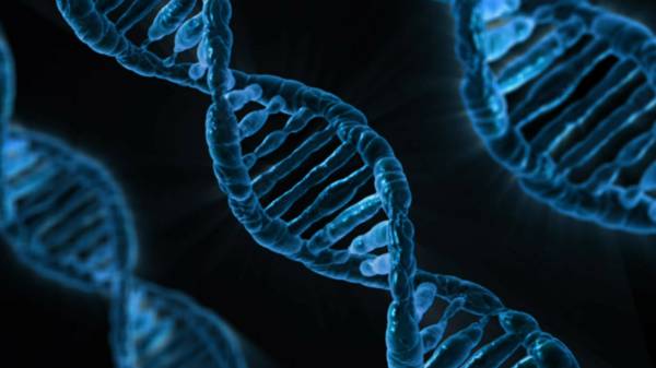 DNA, RNA?   - site efuturo.com.br