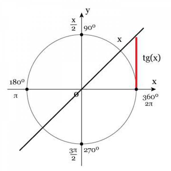 Círculo Trigométrico  Monte o círculo Trigométrico e conheça suas características - site efuturo.com.br