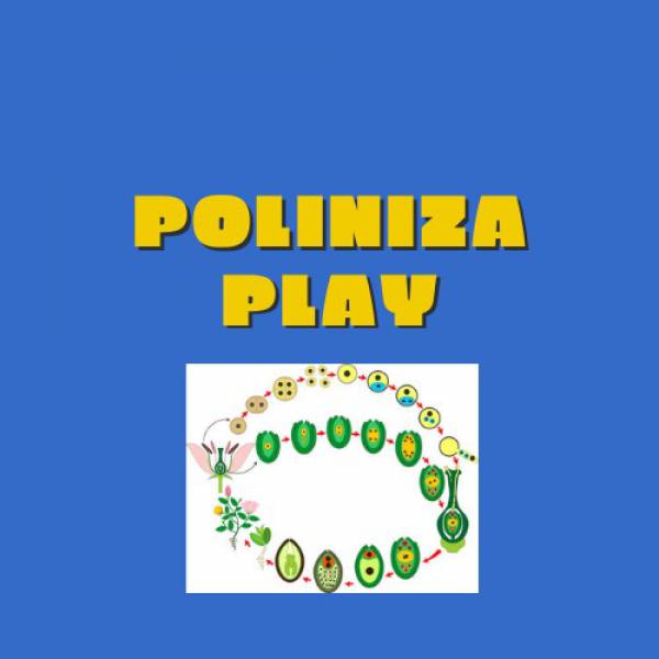 PolinizaPlay  Jogo didático sobre a origem, evolução e diversificação das angiospermas e polinizadores. - site efuturo.com.br