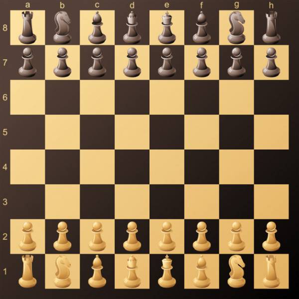 Quebra-cabeça de Xadrez 