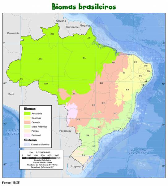 Mapa dos Biomas Brasileiros 