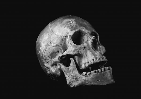 Quebra-Cabeça Esqueleto Humano  Resolva o quebra-cabeça do esqueleto humano - site efuturo.com.br
