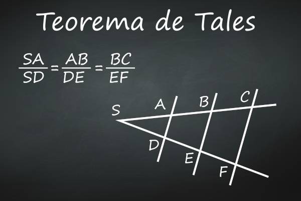 Teorema de Tales  Encontre o feixe de retas paralelas cortado por duas transversais formando segmentos proporcionais como enunciado no Teorema de Tales. - site efuturo.com.br