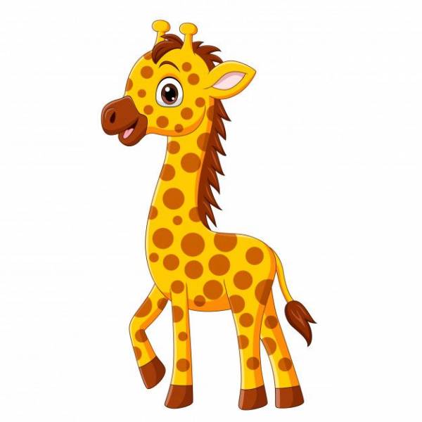 Giraffa  Tem o pescoço muito grande - site efuturo.com.br