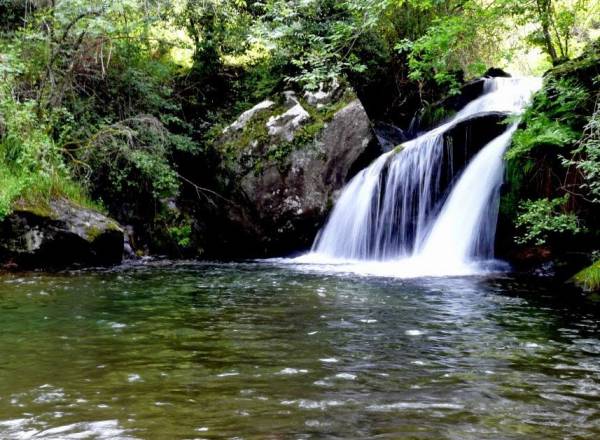 "Estudarcomalvão"  O jogo consiste m encontrar palavras relativas ao parque natural do alvão - site efuturo.com.br