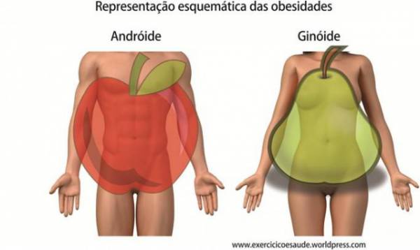 Fenótipos relacionados a quantidade e distribuição  Descubra a obesidade androide e ginoide. - site efuturo.com.br
