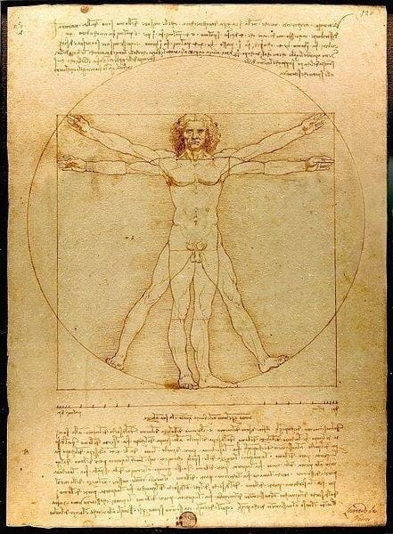 Homem Vitruviano  Leonardo da Vinci - site efuturo.com.br